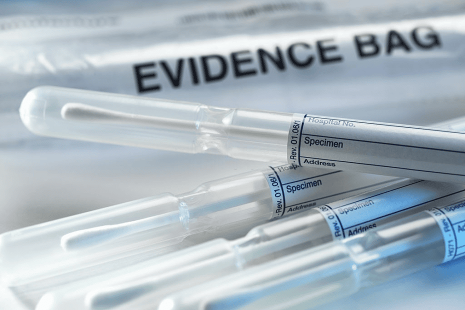 The Paternity DNA Test